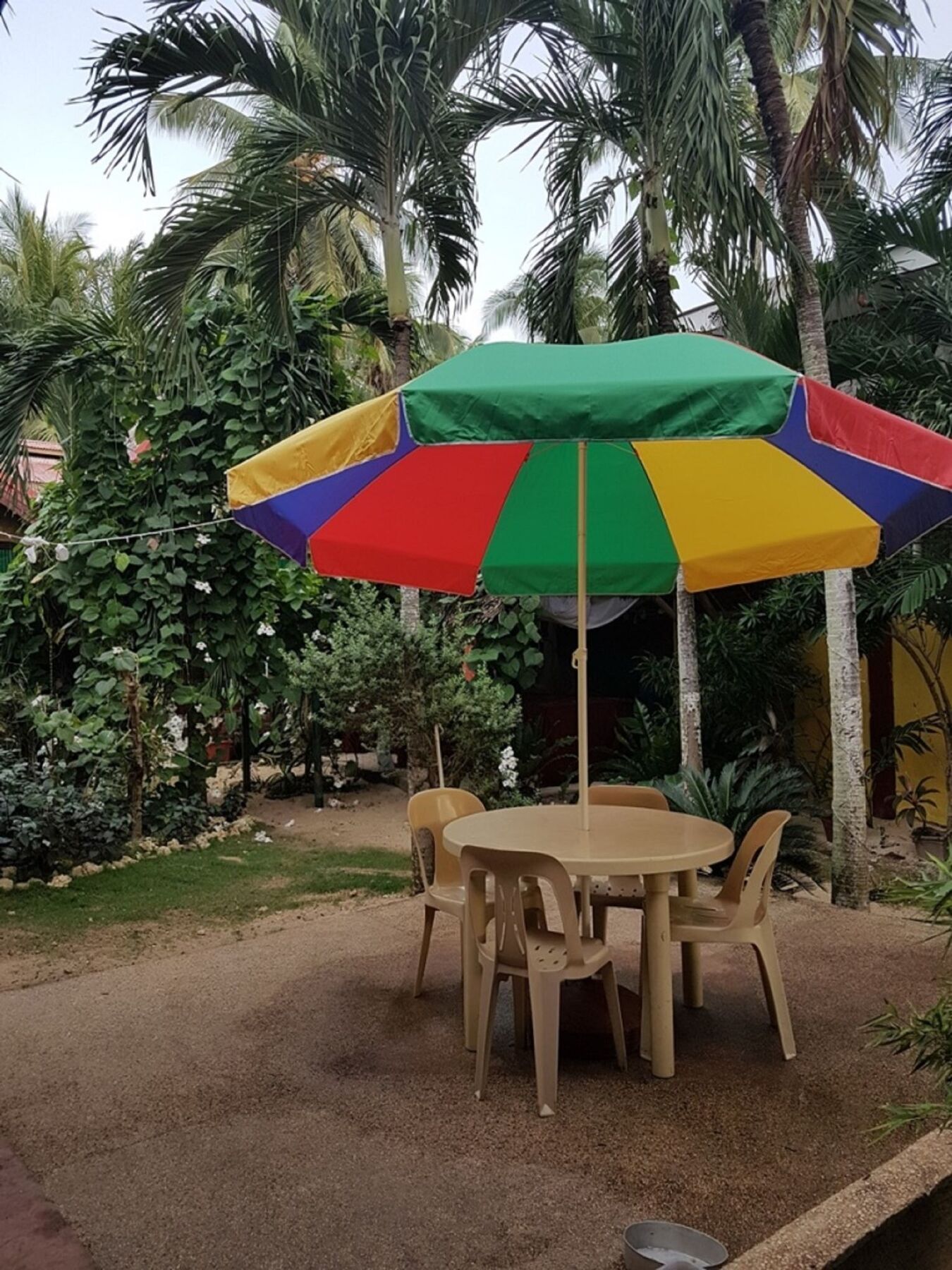 Traville Huts Palm Beach Inn Panglao Exterior foto