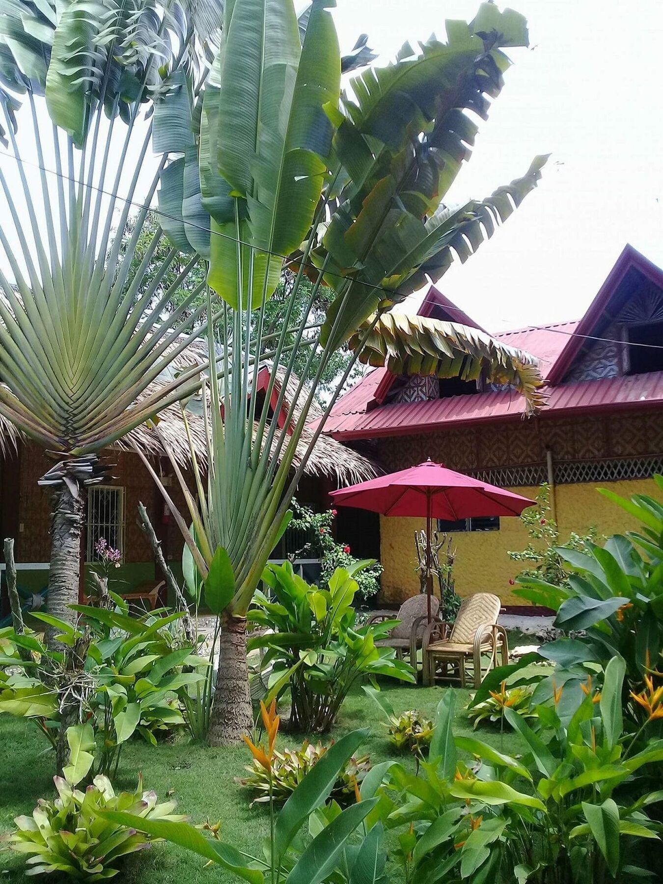 Traville Huts Palm Beach Inn Panglao Exterior foto