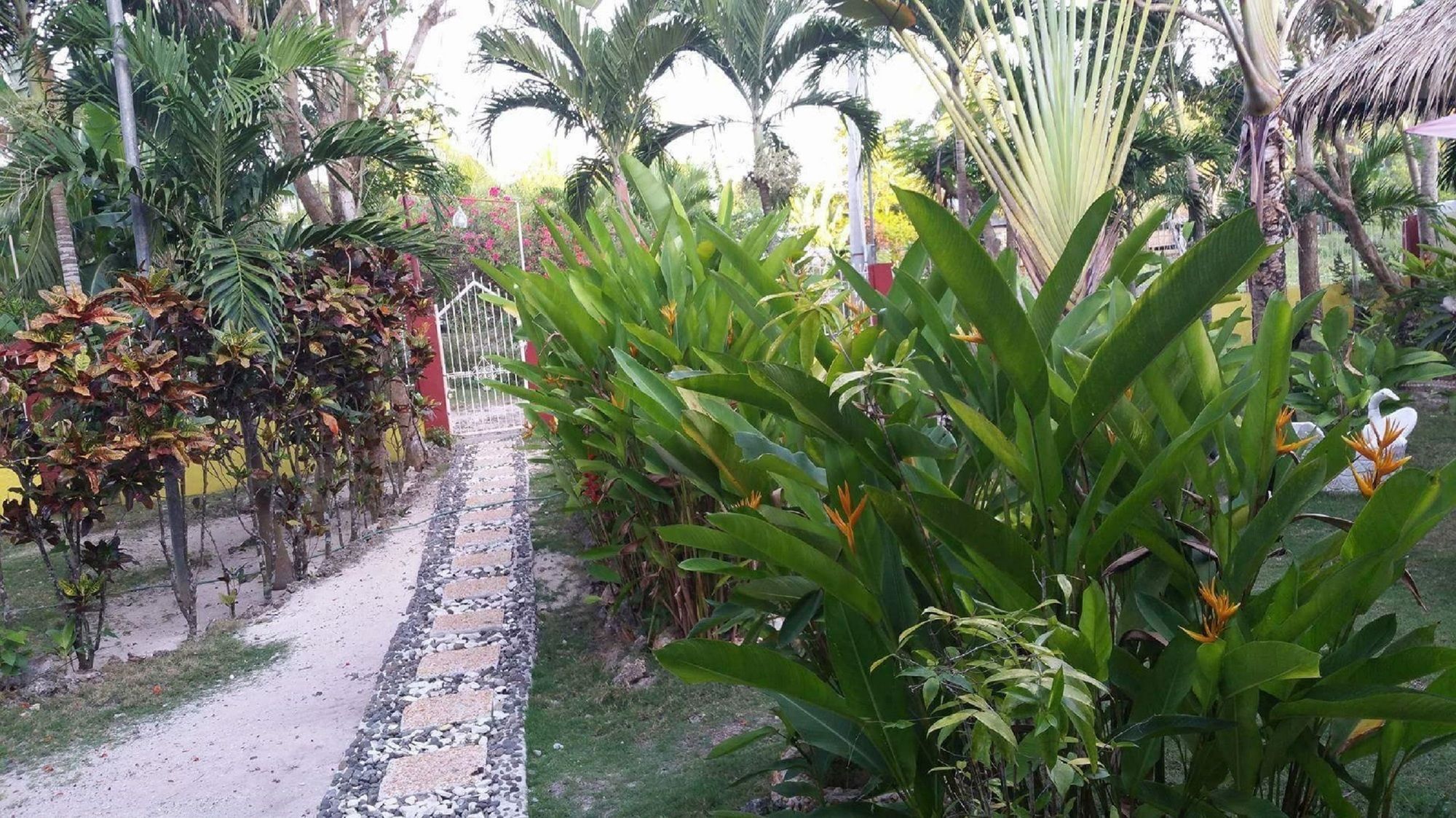 Traville Huts Palm Beach Inn Panglao Exterior foto