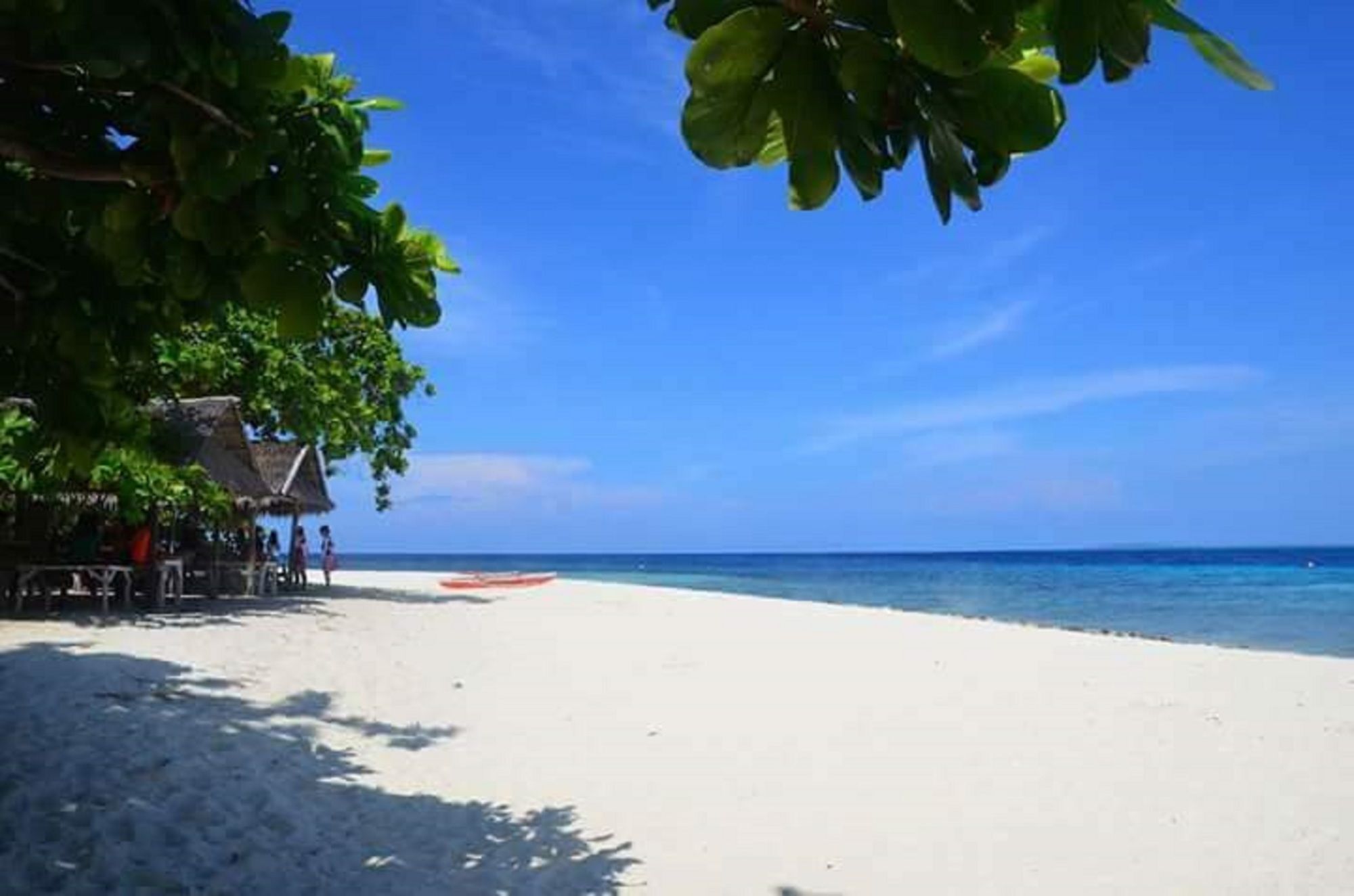 Traville Huts Palm Beach Inn Panglao Exterior foto