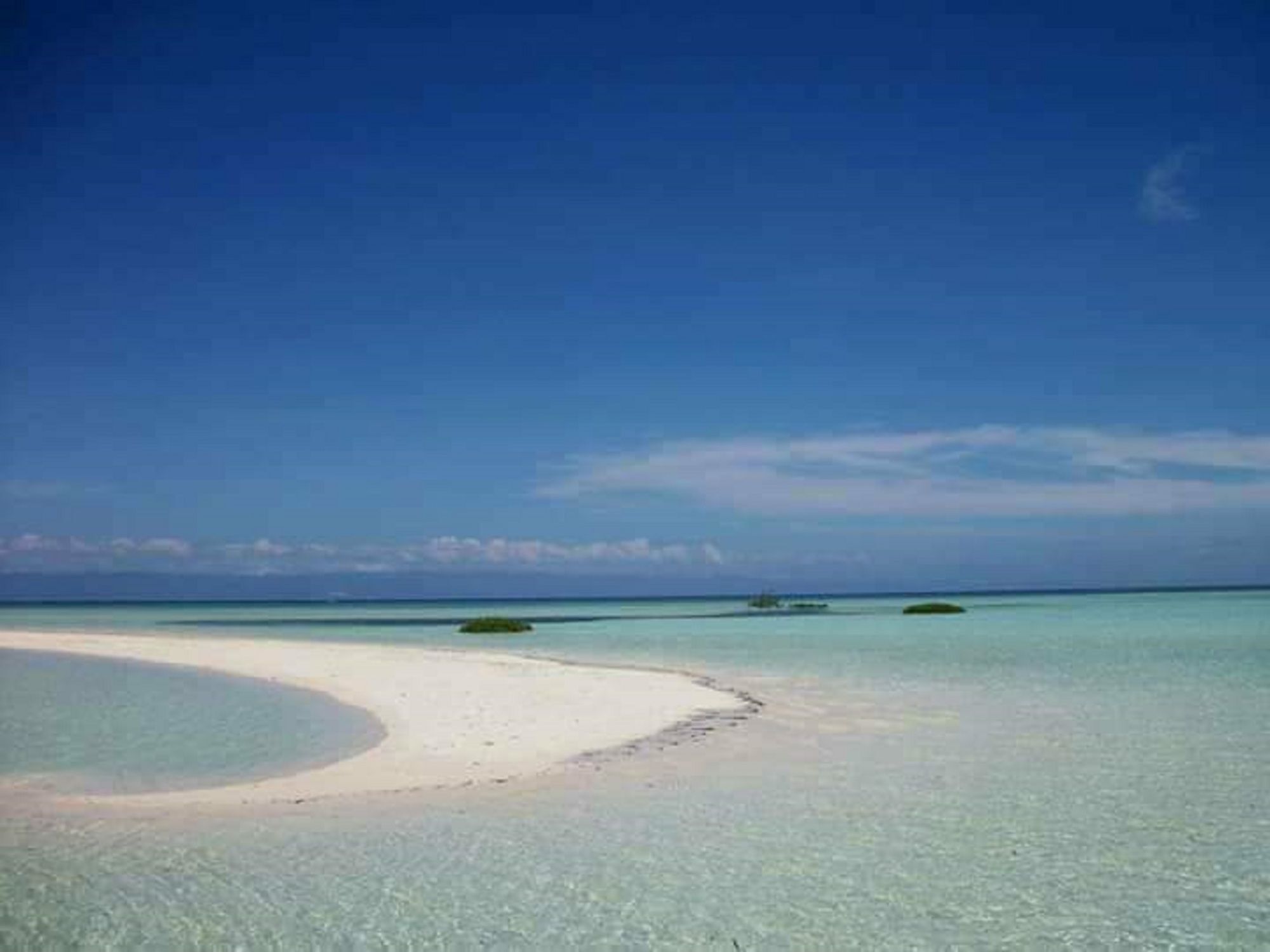 Traville Huts Palm Beach Inn Panglao Exterior foto